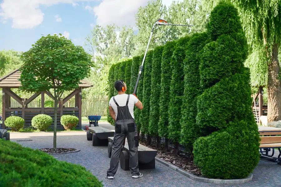 Landscape Solutions