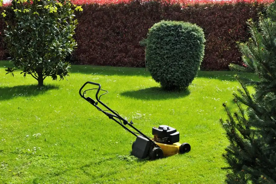 Lawn Care